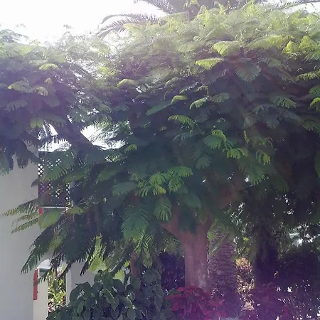 Feriehus Acogedor Muy Luminoso Maspalomas (Gran Canaria)