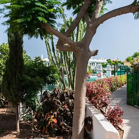 Feriehus Acogedor Muy Luminoso Maspalomas (Gran Canaria)